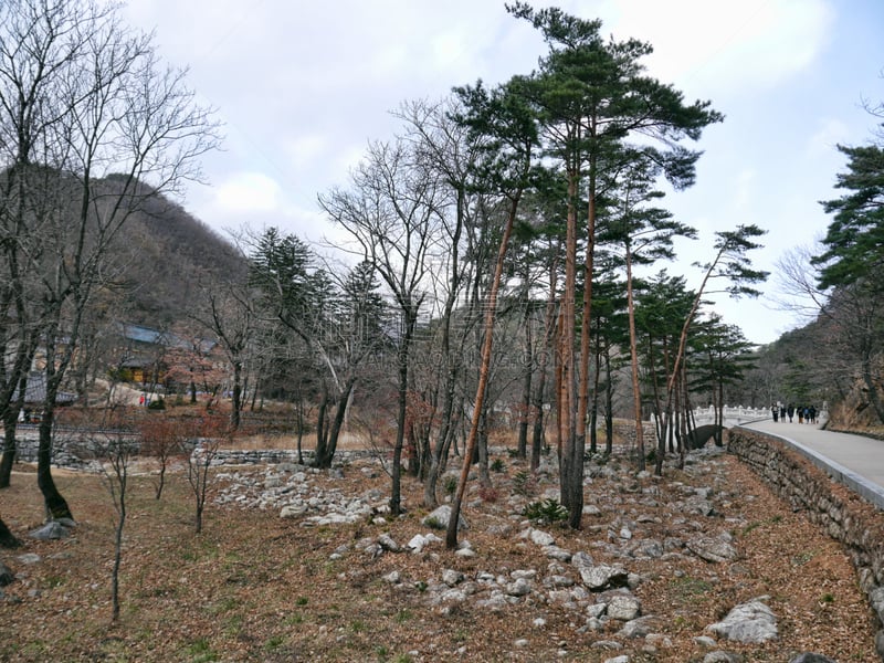 韩国,山脉,国家公园,雾,二月,都市风景,雪岳山,2018,城市