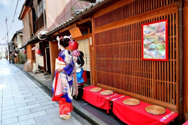 A Japanese woman in Maiko’s costume and hairstyle is standing in front of a Geisha House, in Miyakawa-cho, Gion, Kyoto. She wears traditional long-sleeved kimono with long dangling sash and her hair is elaborately decorated with seasonal flower-featured h