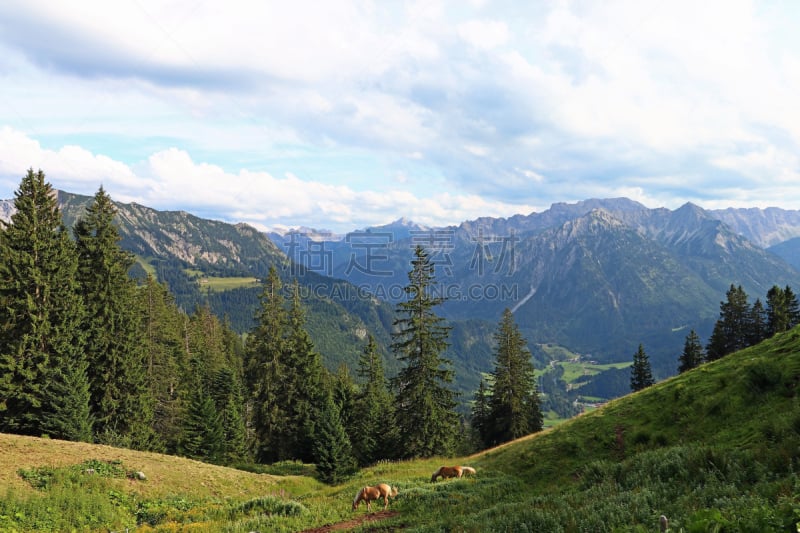 Mountain landscape and mountaineering in the Allgäu Alps. Mountains in Oberjoch in Allgäu