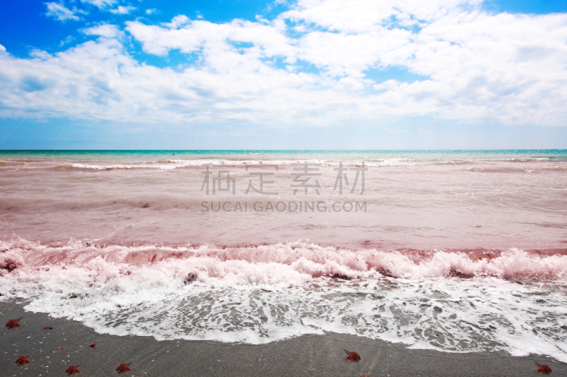 佛罗里达,赤潮,海滩,暴风雨,海滩度假,户外,晴朗,潮汐,白色,自然