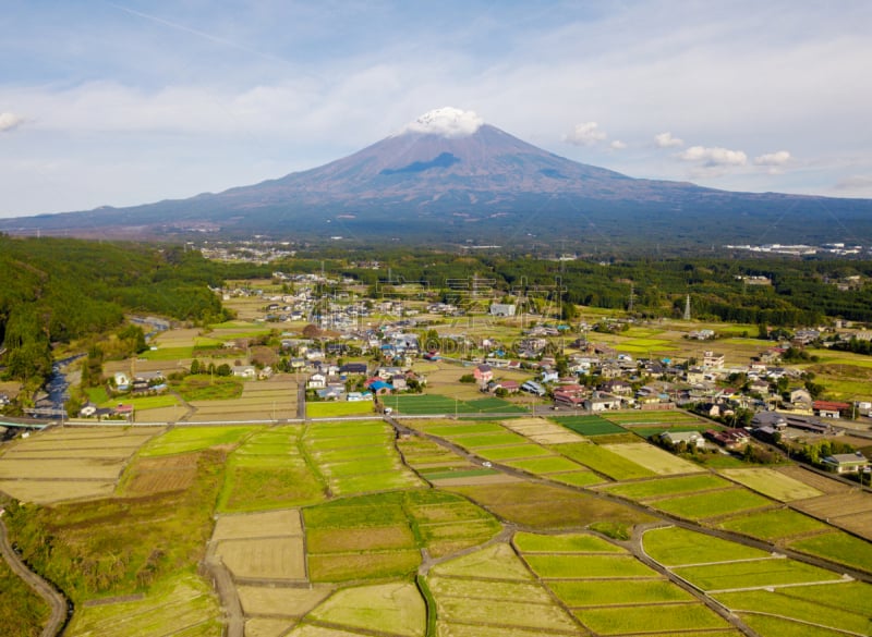 稻,富士山,富士河口湖,日本,自然,山梨县,田地,地形,航拍视角,居住区