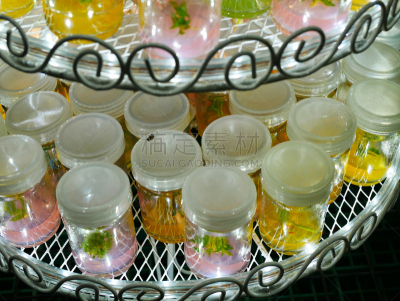 植物,特写,微生物,农业,瓶盖,月,科学实验,热带气候,技术,泰国