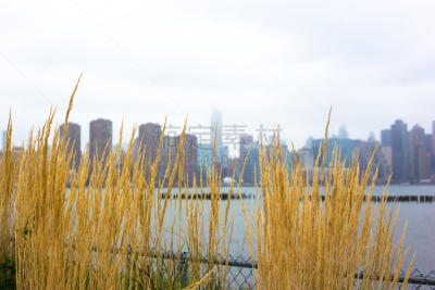 纽约,城市天际线,曼哈顿,绿点区,雨,摄像机拍摄角度,城市生活,灰色,云,草