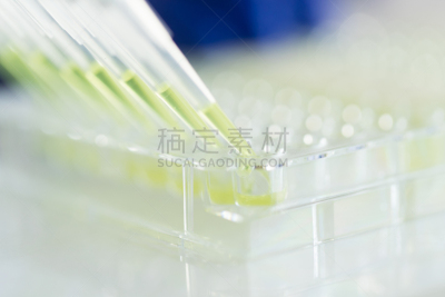 吸液管,盘子,科学家,生物学,微生物学,健康保健,生物化学,科技,生物科技,科学实验