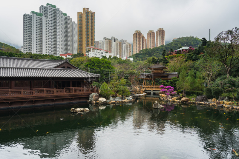 传统,南莲园池,钻石形,山,东方石景花园,佛,旅行者,地形,户外,绿色