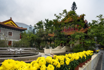 大屿山,修道院,黄色,宝莲禅寺,园林,佛,旅行者,户外,著名景点