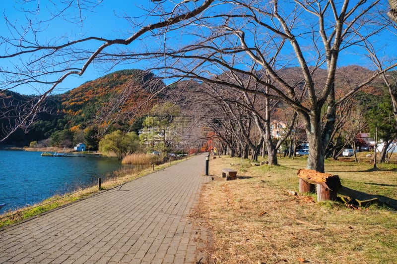 日本,季节,秋天,山梨县,河口湖,天空,派克大街,蓝色,寒冷,名声