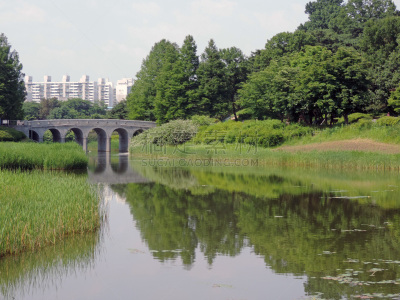 公园,首尔,运动,彩色背景,美术绘画,卡米耶毕沙罗,环境保护,首尔奥林匹克公园体育场,著名景点,自然美