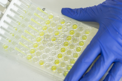 吸液管,盘子,科学家,生物学,微生物学,健康保健,生物化学,科技,生物科技,科学实验