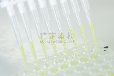 吸液管,盘子,科学家,生物学,微生物学,健康保健,生物化学,科技,生物科技,科学实验