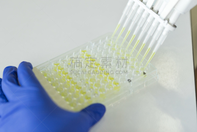 吸液管,盘子,科学家,生物学,微生物学,健康保健,生物化学,科技,生物科技,科学实验