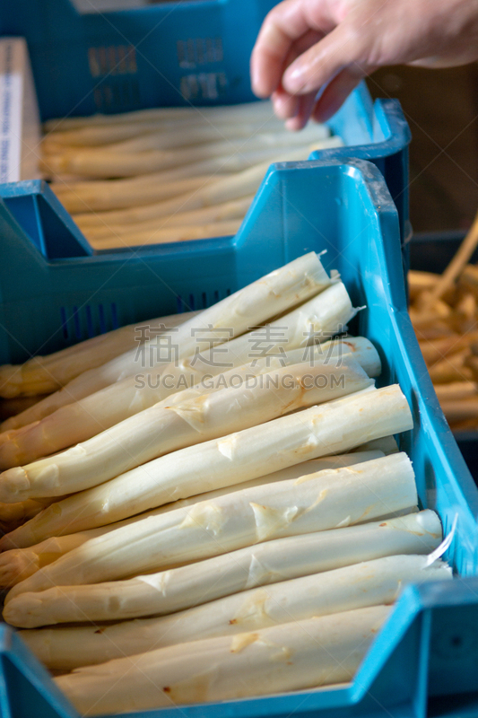 农业,蔬菜,白芦笋,农场,食品加工厂,工业,待售,清新,塑胶,食品