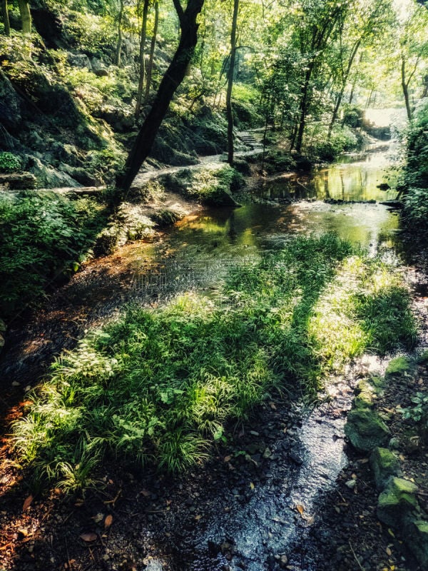 杭州,泥瓦匠,灵隐寺,丰,白昼,著名景点,旅游目的地,风景,图像