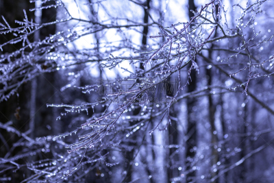 冬天,雪,日本,安静,云,深雪,木制,晴朗,长野城,白色