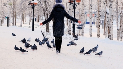 雪,女人,鸽子,户外,白昼,温特帕克,仅一个女人,可爱的,寒冷,一个人