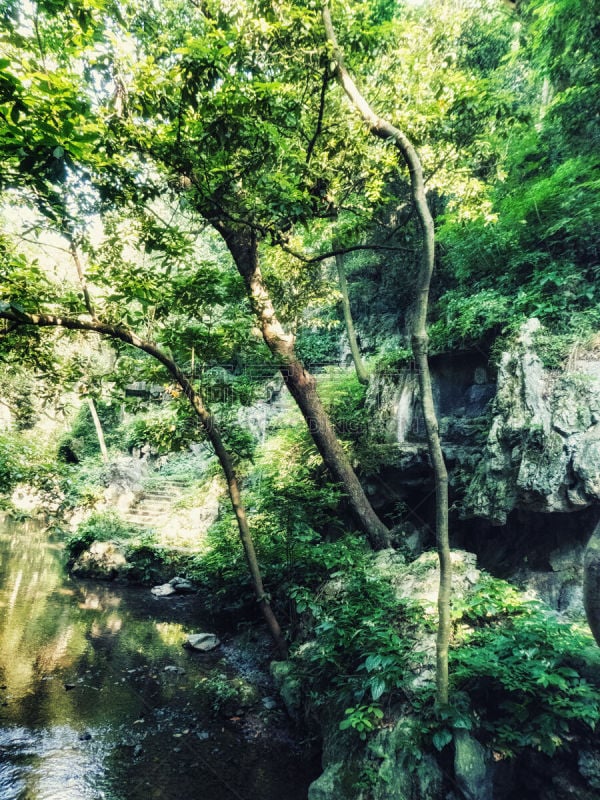 杭州,泥瓦匠,灵隐寺,丰,白昼,著名景点,旅游目的地,风景,图像