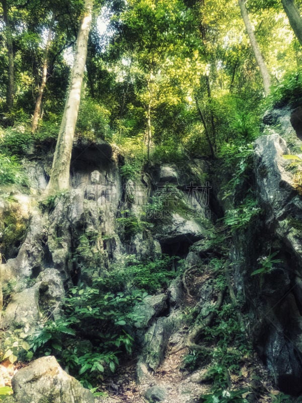 杭州,泥瓦匠,灵隐寺,丰,白昼,著名景点,旅游目的地,风景,图像