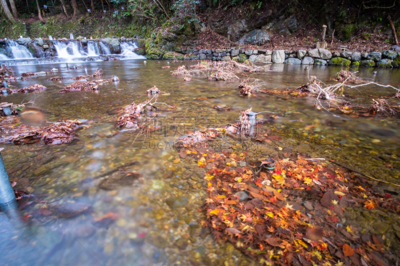 Colorfull colors in autumn season in Kyoto, japan