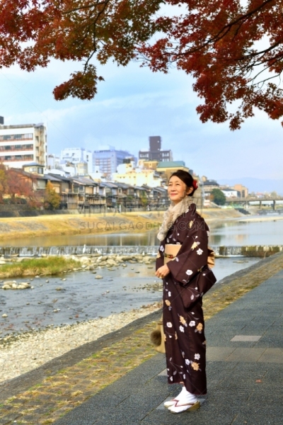 和服,女人,京都府,日本人,鸭川,秋天,中老年女人,仅日本人,仅一个中老年女人,一个人