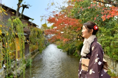 女人,京都府,日本人,秋天,在之后,桥,叶子,和服,中老年女人,仅日本人