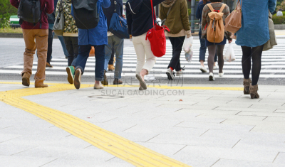 人行道,人行横道,紧迫,城市生活,仅日本人,商务旅行,迅速,路口,著名景点,亚洲人种