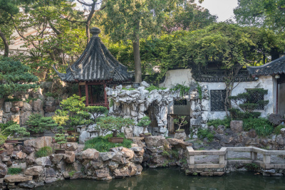 池塘,豫园,上海,传统,著名景点,中国,花园路,小路,园林,户外