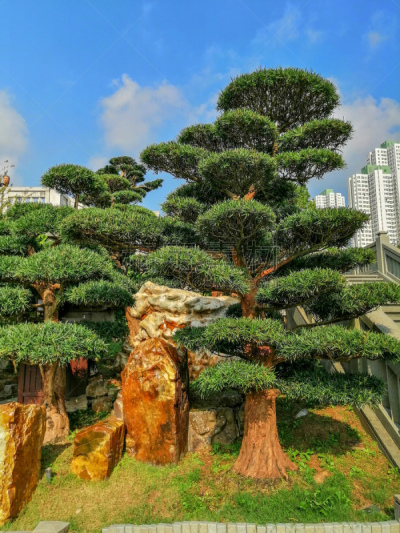 Nan Lian Garden, Hong Kong