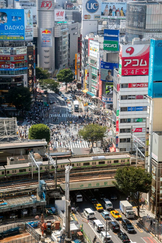 日本,东京,涉谷岔口,航拍视角,名声,涉谷站,在活动中,运动,仅日本人