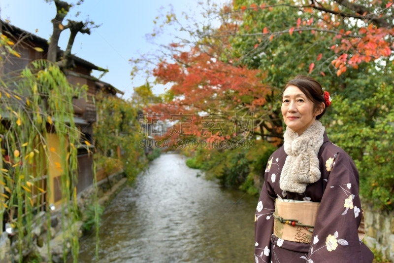 女人,京都府,日本人,秋天,在之后,桥,叶子,和服,中老年女人,仅日本人