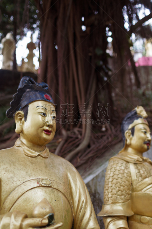 佛,修道院,男人,1万日元,黄金,著名景点,灵性,宁静,旅游目的地,艺术