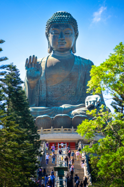 天坛大佛,佛,晒黑,旅行者,青铜,巨大的,著名景点,图像,垂直画幅