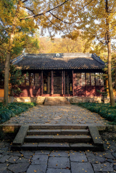 中国,秋天,苏州,派克大街,传统,环境,橙色,公园,著名景点,植物