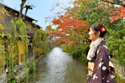 女人,京都府,日本人,秋天,桥,叶子,在之后,和服,中老年女人,仅日本人