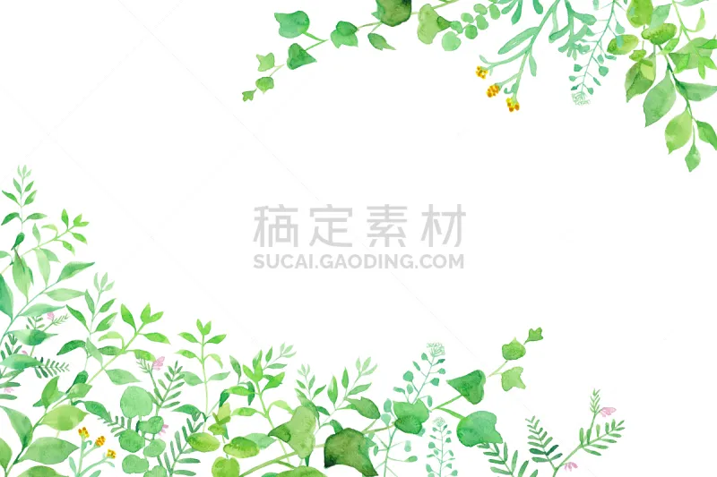 华丽的 边框 绘画插图 绿色 角落 两只动物 水彩画 水彩画颜料 常春藤 背景分离图片素材下载 稿定素材 华丽的 边框 绘画插图 绿色 角落 两只动物 水彩画 水彩画颜料 常春藤 背景分离图片素材下载 稿定素材