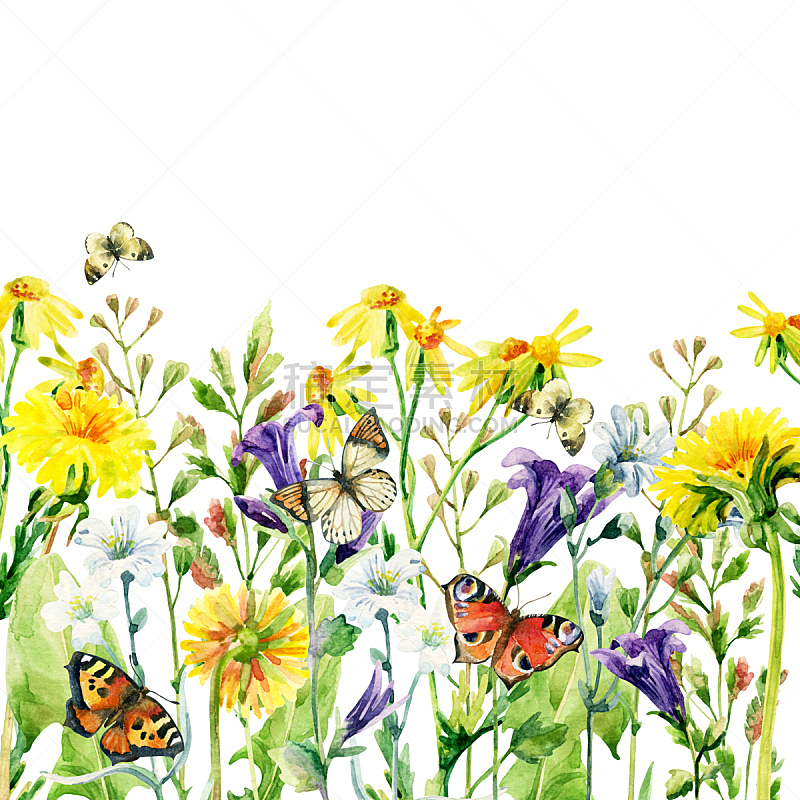 蝴蝶,草地,贺卡,水彩画,留白,蒲公英种子,无人,绘画插图,草