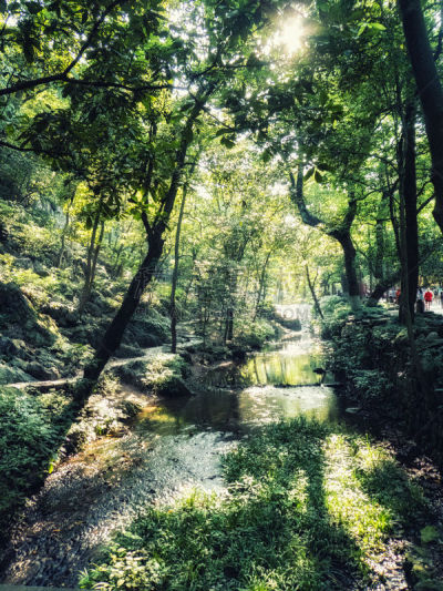 杭州,泥瓦匠,丰,灵隐寺,白昼,著名景点,旅游目的地,风景,图像