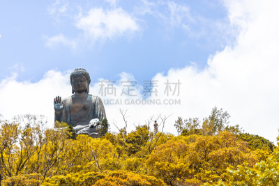 佛,青铜,巨大的,高大的,地球,宝莲禅寺,桨叉架船,天坛大佛,坐