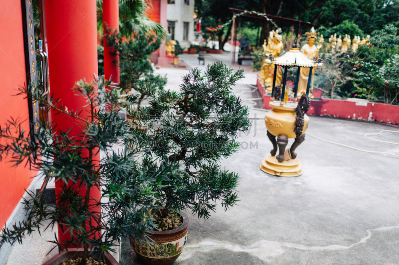 佛,修道院,1万日元,男人,黄金,著名景点,灵性,宁静,旅游目的地,艺术