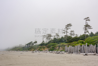 华盛顿州,卡拉洛赫海滩,奥林匹克国家公园,沙子,太平洋,美国,居住区,海滩,西,里面