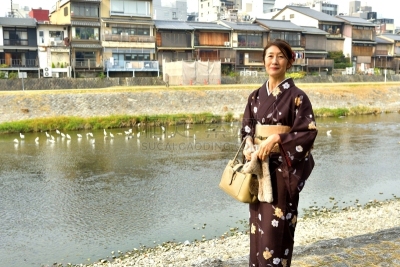 和服,女人,京都府,日本人,鸭川,秋天,中老年女人,仅日本人,仅一个中老年女人,一个人
