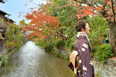 女人,京都府,日本人,秋天,桥,叶子,在之后,和服,中老年女人,仅日本人