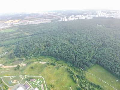 林间空地,地形,郊区,公园,墨尔本,沥青,莫斯科,环境,草,无人机