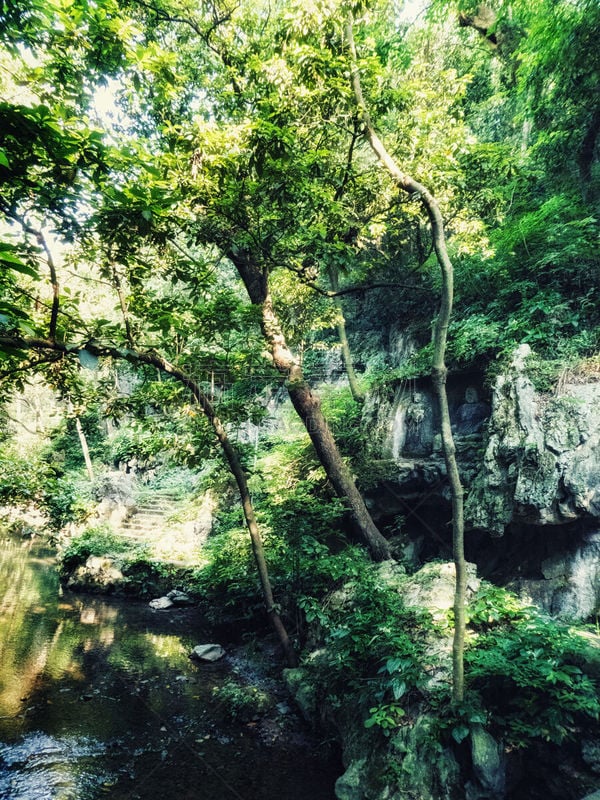 杭州,泥瓦匠,灵隐寺,丰,白昼,著名景点,旅游目的地,风景,图像