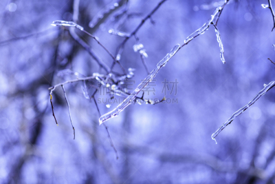 冬天,雪,日本,安静,云,深雪,木制,晴朗,长野城,白色