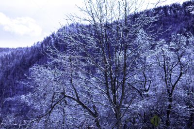 冬天,雪,日本,安静,云,深雪,木制,晴朗,长野城,白色