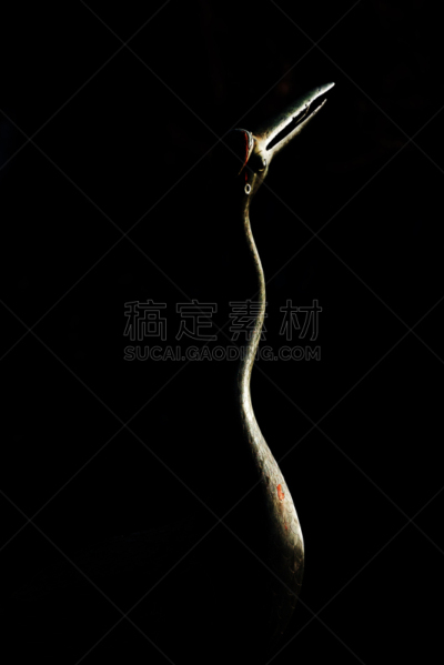 北京,颐和园,鹤,雕刻物,名声,一个物体,世界遗产,公园,动物,中国