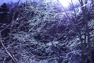 冬天,雪,日本,安静,云,深雪,木制,晴朗,长野城,白色