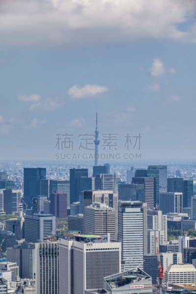 日本,城市天际线,东京,商务,城市生活,曙暮光,黄昏,现代,著名景点,东京天空树