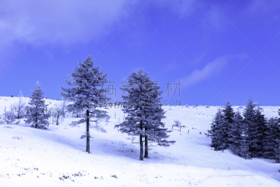 冬天,雪,日本,安静,云,深雪,木制,晴朗,长野城,白色