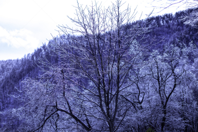 冬天,雪,日本,安静,云,深雪,木制,晴朗,长野城,白色